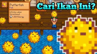 Cara Menangkap Ikan Puffer Fish Stardew Valley [upl. by Dail]