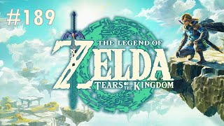 The Legend of Zelda Tears of the Kingdom Switch  Lets Play 189  No Commentary [upl. by Tore]