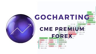 Gocharting CME Premium package for Forex [upl. by Aimas]