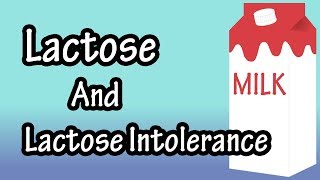 Lactose  What Is Lactose  What Is Lactose Intolerance [upl. by Tur158]