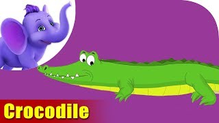 Crocodile Rhymes Crocodile Animal Rhymes Videos for Children [upl. by Eniamaj]