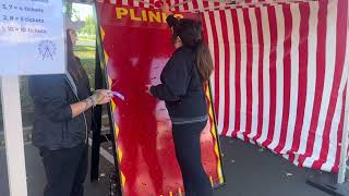 Giant Plinko Game Rental [upl. by Avenej]