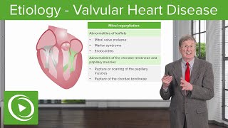 Etiology – Valvular Heart Disease [upl. by Mic]