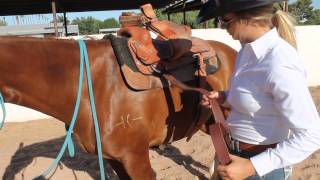 How to Correctly Cinch Your Horse [upl. by Creigh360]