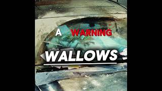 A Warning  Wallows Lyrics [upl. by Arymat463]