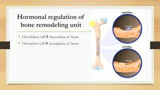 Hormones regulating plasma calcium level Parathormone Calcitonin and Vitamin D [upl. by Atnamas]