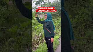 MURIS GAE TOMBO KOLESTROL shortvideo [upl. by Ostler]