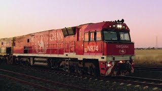 Ghan Locomotives NR74 amp NR109 With Freight Train  PoathTV Australian Railways [upl. by Petrick]