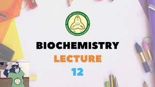 Lecture 12  Vitamins and Coenzymes 💊 [upl. by Jerrie]