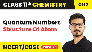 Quantum Numbers  Structure Of Atom  Class 11 Chemistry Chapter 2 [upl. by Mateusz]