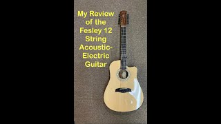 My Review of the Fesley 12 String AcousticElectric Guitar [upl. by Issie]