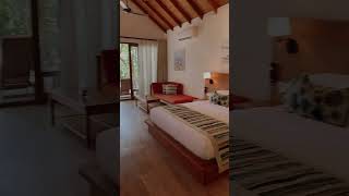 Deluxe Beach Villa at Reethi Faru Resort Maldives [upl. by Whitebook450]