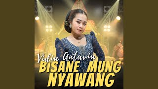 Bisane Mung Nyawang [upl. by Airpac]