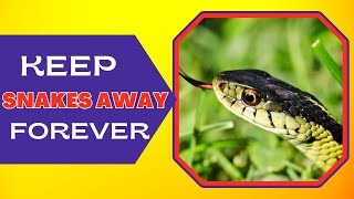 What Can You Put In Your Yard To Keep Snakes Away Simple Solutions [upl. by Surtemed172]