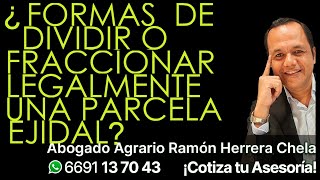 Formas de dividir o fraccionar legalmente una parcela ejidal  Cotiza tu asesoría 6691137043 [upl. by Levinson388]