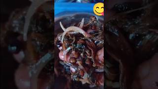 gundruk ko achar NirvikaThapa trend shorts trending shortvideo picklerecipe fypシ゚viral [upl. by Nileek]