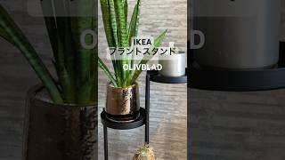 【IKEA】イケアのプラントスタンドOLIVBLADで観葉植物をオシャレに飾ろうshorts ikea イケア購入品 [upl. by Kevyn]