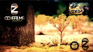 CloZee  Gold Sand Free Download [upl. by Volnay]