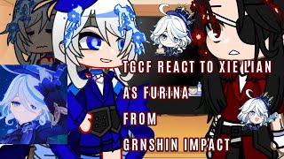 tgcf react to xie lian as furina GIxtgcfnot OG200 subscriber special [upl. by Annawik]