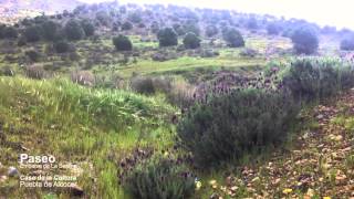 Paseo por el embalse de La Serena [upl. by Legir]