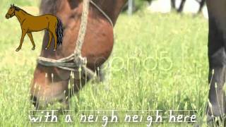 Old MacDonald Had A Farm lyrics on screen sing along [upl. by Pacian]