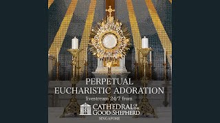 Perpetual 247 Eucharistic Adoration Prayer Mission [upl. by Normalie]