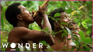 This Hidden Tribe Hunt Jungle Animals With Deadly Precision  Man Hunt S1 E2  Wonder [upl. by Eelanaj]