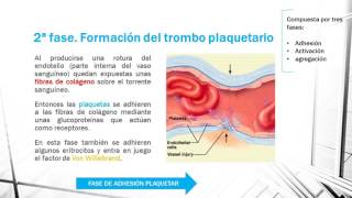 HEMOSTASIA PRIMARIA EN 1 MINUTO [upl. by Cleon858]