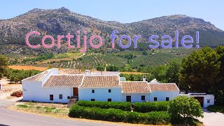 Amazing Cortijo With Horse Stables in Villanueva Del Trabuco  Malaga  Andalusia [upl. by Annauqaj575]