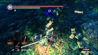 Dark Souls PvP No Respect for the Forest Hunters pt 1 [upl. by Monti]