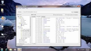 VB Decompiler  Native Code Decompilation [upl. by Ambert962]