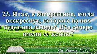 ВидеоБиблия Евангелие от Марка без музыки глава 12 читает Бондаренко [upl. by Adniram925]