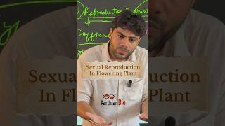 Sexual Reproduction in Flowering Plants  NEET 2025 Biology shorts neet2025 neetpreparation [upl. by Sivam]