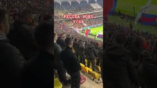 FCSBTV FotbalRomaniaTV shorts youtubeshorts reels ultras fcsb football superliga [upl. by Candide]