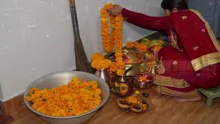 Tihar bhai Tika 2081 [upl. by Annal]