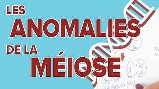 Anomalies de la Méiose  5  SVT  Terminale S  Mathrix [upl. by Anallij]