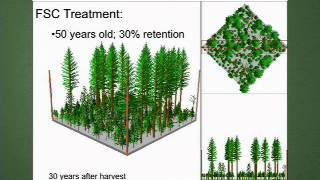 The Future of Forestry Future Forest Management in the Pacific Northwest [upl. by Buzz905]