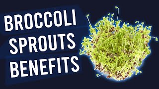 Benefits of Broccoli Sprouts  A Natural Remedy for Schizophrenia  Crystalline Nutrients [upl. by Arraeis]