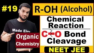 Alcohol Chemical Reactions  Esterification  Reaction with HCl ZnCl2 amp with PX3  NEET JEE [upl. by Burrton962]