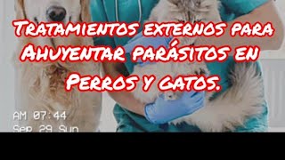 Tratamientos externos e internos para ahuyentar a los parásitos en perros y gatos [upl. by Haymo565]