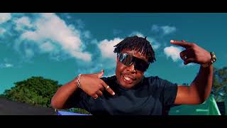 Ngaasadaro Remix  Official Video [upl. by Negroj]