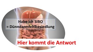 Hab ich SIBO  eine Dünndarmfehlbesiedlung [upl. by Olav708]