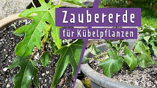 DIY Pflanzerde selber mischen  MDR Garten [upl. by Forkey300]