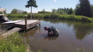 Remove Curly Pond Weed without using chemicals [upl. by Neirda]