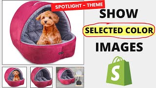 SPOTLIGHT Theme V15  How to Display Only Selected Color images Product Page in Shopify [upl. by Auohc]