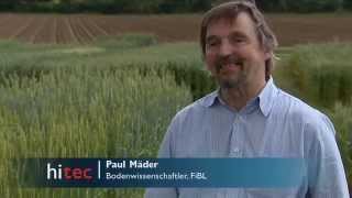 DOKVersuch Biologische und konventionelle Landwirtschaft im Langzeitvergleich [upl. by Blunt909]