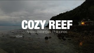 Cozy Reef Your Own Mini Dive Resort in Anilao Batangas Philippines [upl. by Ahseiyk65]