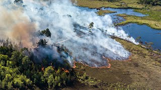 Thursley Common Fire 30th May 2020 [upl. by Gudrin259]