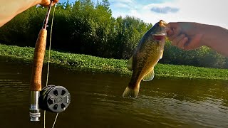 Pêche du Black Bass et du Chevesne à la mouche  Enfin le début de saison [upl. by Hoebart]