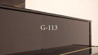 G113 by GROTRIANSTEINWEG  Small piano big sound [upl. by Eltotsira486]